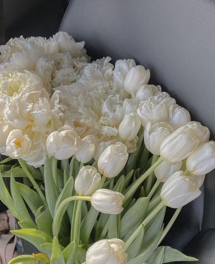 mrymdreams's tweet photo. White tulips >>> https://t.co/1Y7xZfxASw