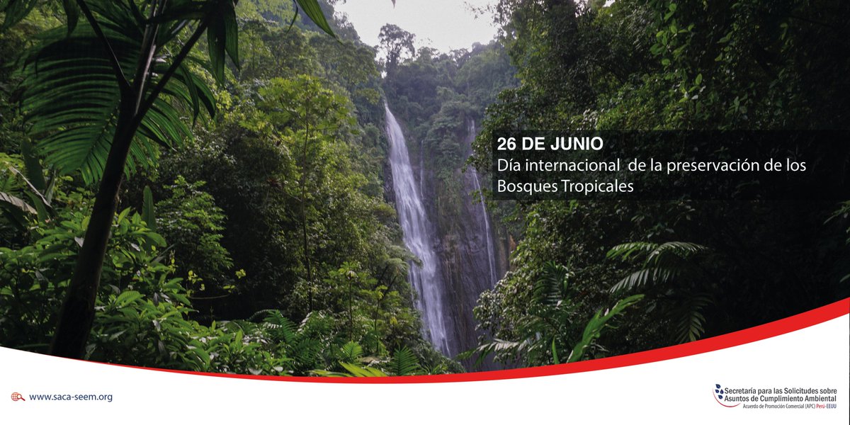 En el #DíaInternacionalDeLosBosquesTropicales es importante revalorar la presencia de estos, de su valor ecosistémico y de la necesidad de su conservación. 

👉 Para mayor información visítanos en saca-seem.org