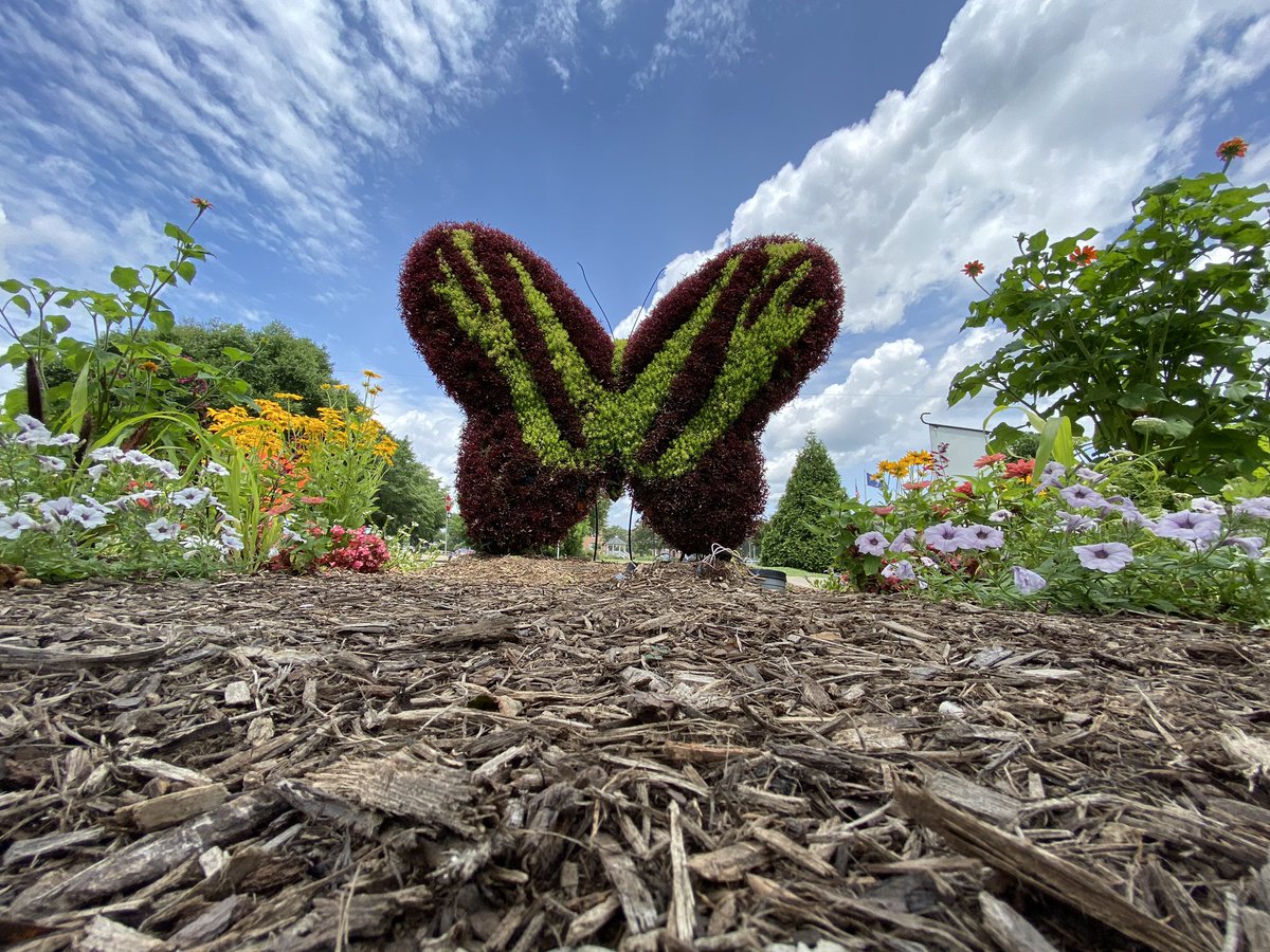 alisonrauch's tweet photo. Took a road trip @UptownGreenwood to see the Festival of Flowers. Most events are canceled due to covid but topiaries are on display. Perfect walking tour with lunch at The Mill House, browsing the Greenwood Museum & ice cream at Sweets & Treats #scfof #bloominggoodtime https://t.co/MyNfL2WKIp
