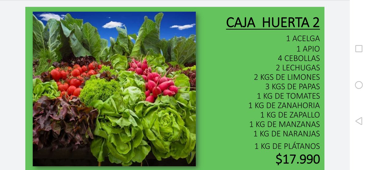 lahuertargua's tweet photo. #GRANEROS  #RANCAGUA #MACHALI SEGUIMOS FUNCIONANDO. LA MEJOR FRUTA Y VERDURA : Cuídate. Haz tu pedido al whatapps +569 65541401 o AQUI https://t.co/RIBpqloIRN   
delivery gratis, cajas sanitizadas  RT https://t.co/J9TC4Ja8yo