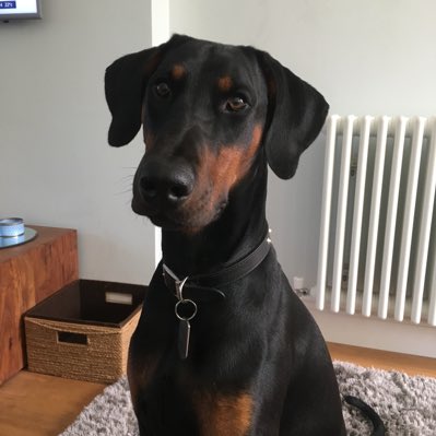 ickenhamscott's tweet photo. #NewProfilePic https://t.co/vsaAof0m7t