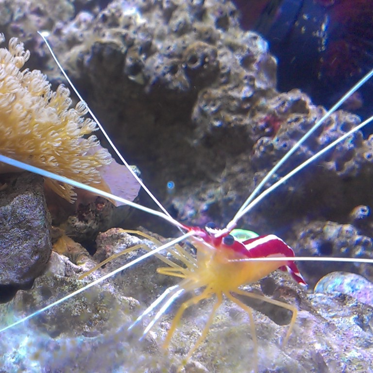 𝖆𝖇𝖘𝖔𝖑𝖚𝖙𝖊 𝖒𝖔𝖓𝖆𝖗𝖈𝖍𝖞 tweet media