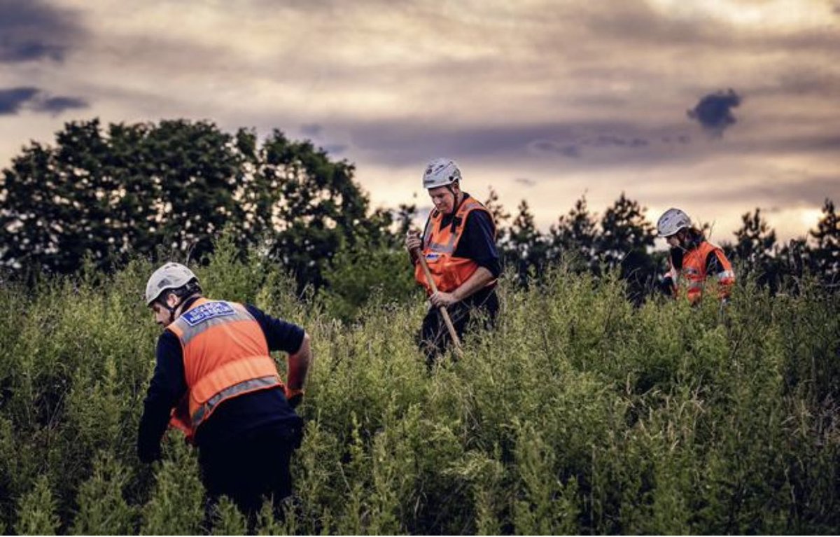 **UPDATE** 

CRS, looking for Noah Donohoe are going door to door asking to search your garden. They are not the police, they don’t care if you have 6 stolen trafffic cones in a shed, please give them access to search. Nothing is worth hindering this search <a href="/BelTel/">Belfast Telegraph</a>