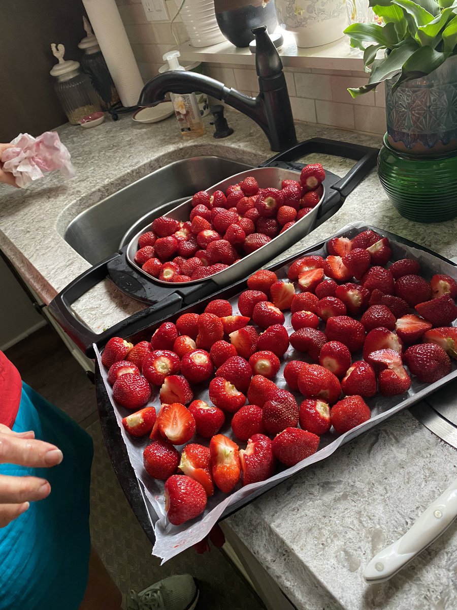 charhuitema4's tweet photo. Quick morning strawberry picking! Large and tasty selection of strawberries π #localberries #haldimandcounty https://t.co/n5S1FoEhcU