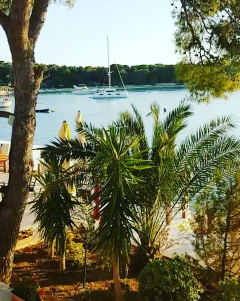 Fancy a bit of beach jazz 🎶 #hvar #summer2020 #lagoon46nandini #hvarisland #islanhvar #beachjazz #lounge #beachbar #zen #relax #carpediem #adriaticsea #staywithocean #oceansailinghouse