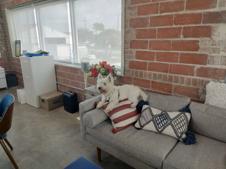 IntegrateTeam's tweet photo. Okay, so #TakeYourDogToWorkDay is technically every day when you're working from home...but that won't stop us from sharing these adorable pups! 🐶
Happy Friday, everyone! https://t.co/q5EWoPYV2O