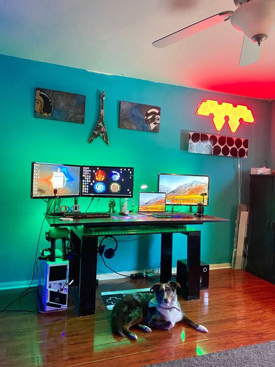 IntegrateTeam's tweet photo. Okay, so #TakeYourDogToWorkDay is technically every day when you're working from home...but that won't stop us from sharing these adorable pups! 🐶
Happy Friday, everyone! https://t.co/q5EWoPYV2O