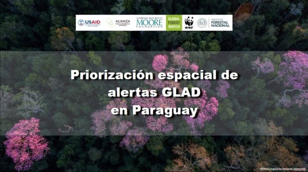 Mesadefinanzas's tweet photo. #Culminamos la Capacitación "Priorización espacial de las alertas de deforestación GLAD", fueron 3 jornadas en las cuales participaron representantes de 12 entidades miembros de la MFS. Agradecemos a los instructores Alejandra Gill de #WWFPY y a Regino Acosta del #INFONA https://t.co/OWI2CEDVnK