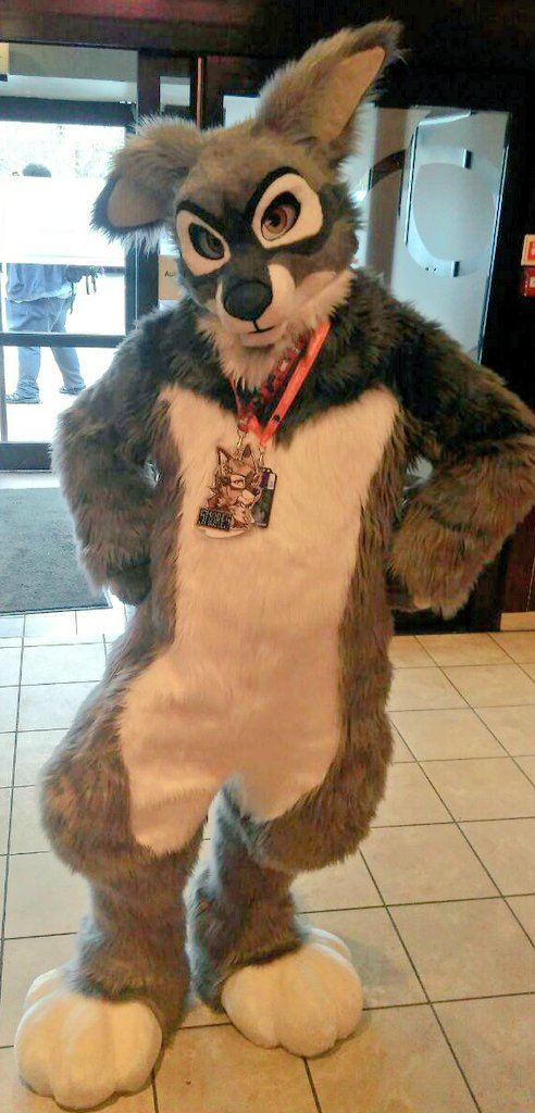 RaffieFox's tweet photo. A big soft Smores pup stands in your way. What will you do?
I) Feed him, he's hungry
II) Stroke him. He's just a pup!
III) Boop his snoot to see reaction.
#FursuitFriday #furry #fursuiter #wolfshep https://t.co/hhLN63NsRa