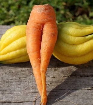 short thread of the untamed characters as carrots  (yes, carrots)