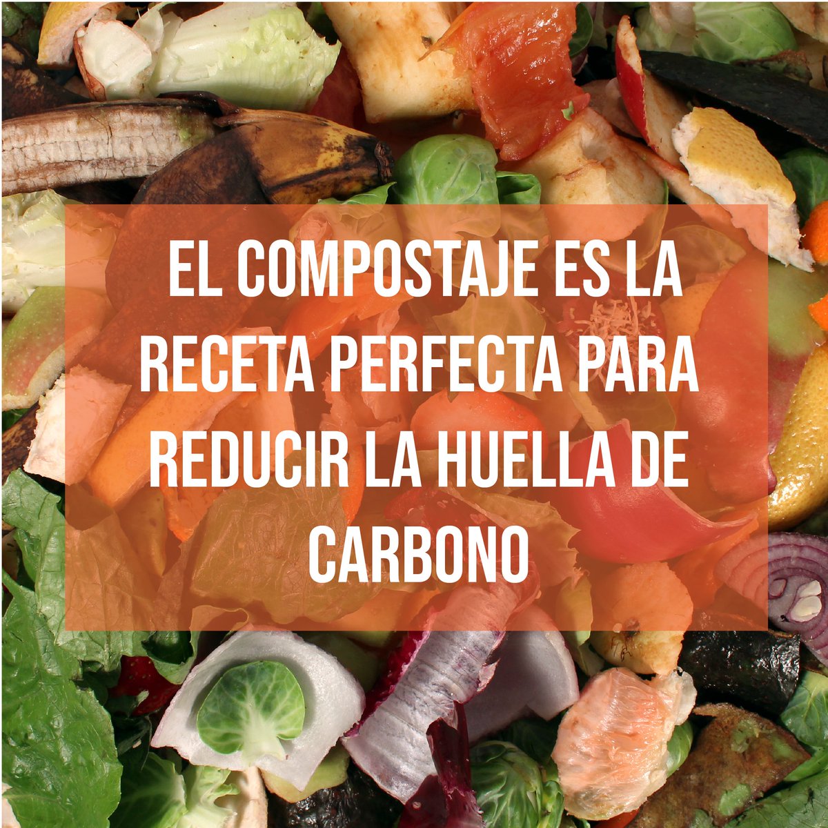 AckadiaLife's tweet photo. ♻️Nuestro proyecto se basa en la transformación de #ResiduosOrgánicos en #Supercompost.
☢️Actualmente los residuos constituyen uno de los problemas ambientales más graves de la sociedad moderna actual y en especial de las más industrializadas.
#MasCompostMenosBasura https://t.co/IYKxlX3Ajs
