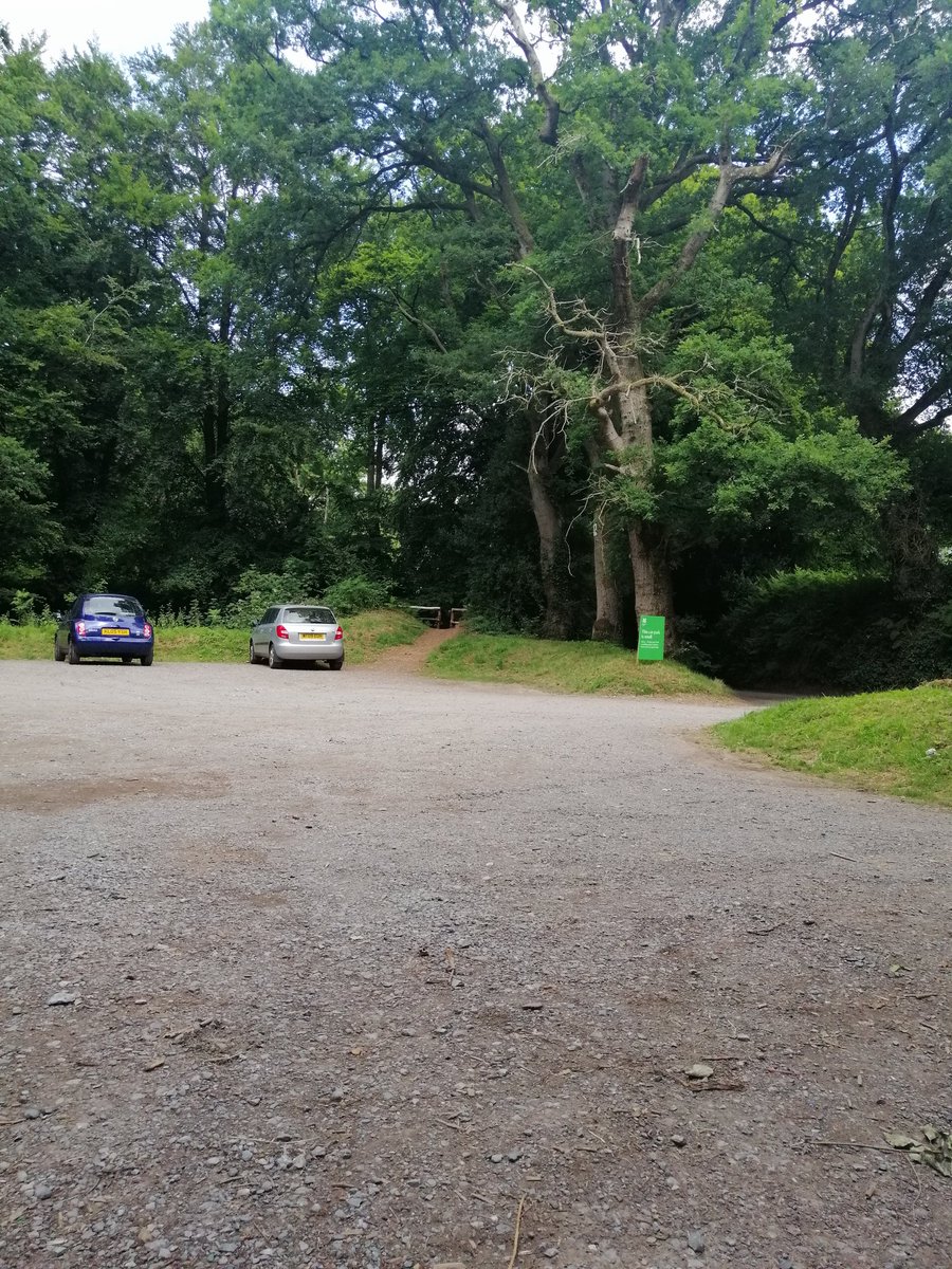 Jonathan , Tristan,Lionel,Hyde tweet media