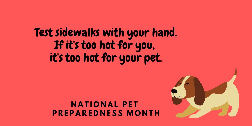 Avoid exercising with your pet outside on extremely hot days. 
Assure your pet has ample shade and water when outside in the heat. #PetPreparedness #wepoweron #publicpower #communitypowered #westerville