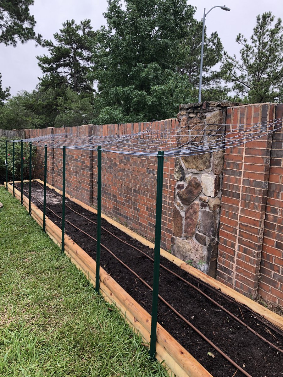 PavaniGottu's tweet photo. #KleinMath #MathSelfieChallenge knocked off two more! #MeasurementMath. Had to figure out thirds for my trellis and #MovieMath. Watched ‘And then there were none’ and ‘The Mystery of the 13th guest’. https://t.co/i4DHsH49PY