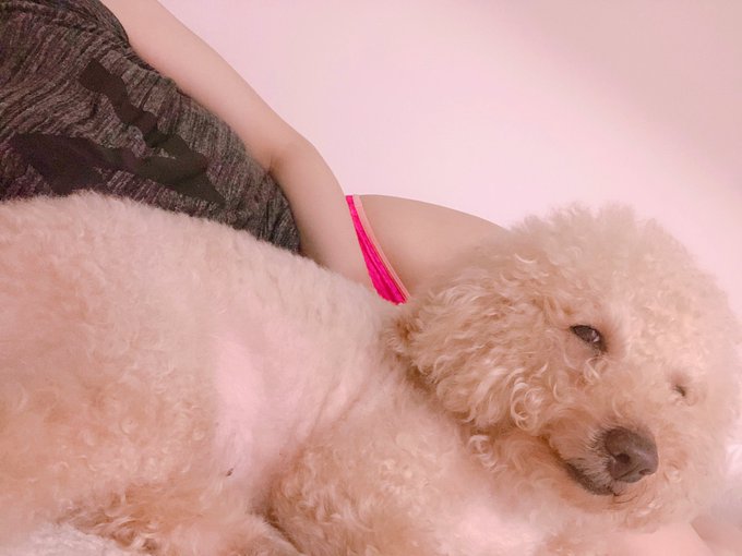 お腹すいて目が覚めた。 おはようございます🐥 https://t.co/L1E4MPzxL9<a href="/tag/%E3%83%AF%E3%83%BC%E3%83%AB%E3%83%89%E3%82%AB%E3%83%83%E3%83%972022"class="tags"><span>#ワールドカップ2022</span></a>