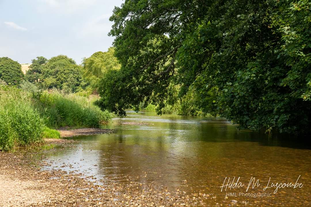 KittymoreStud's tweet image. A day off, and a walk up the River Otter from Budleigh Salterton with the camera!
#HMLPhotographic #cameratime #relaxingday #pleasamtwalk