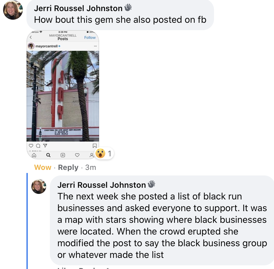 The people on the racist Forever Lee Circle lady's private FB group are a little wacky.
