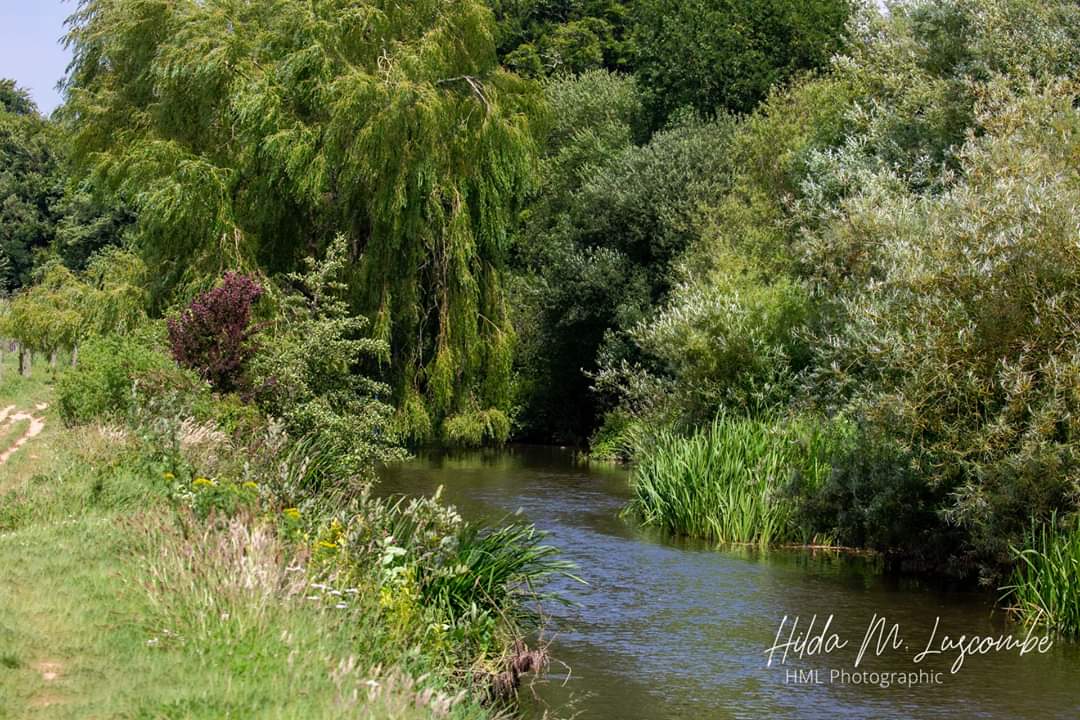 KittymoreStud's tweet image. A day off, and a walk up the River Otter from Budleigh Salterton with the camera!
#HMLPhotographic #cameratime #relaxingday #pleasamtwalk