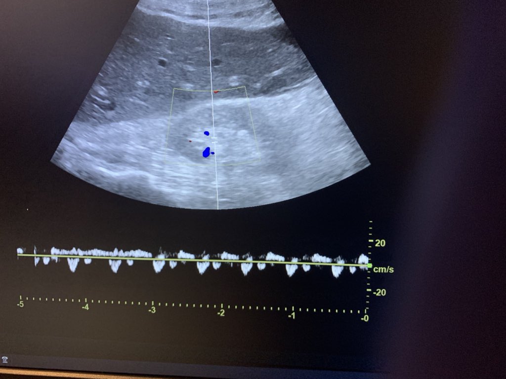 Jonathan J Suarez tweet media