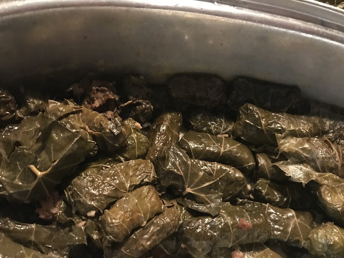 When there are grape leaves in the yard, your husband follows his mother-in-law’s recipe and makes Assyrian dolma! ❤️ #assyrian #dolma #assyriangirl #luckygirl #grapeleaves #dolmadarpee