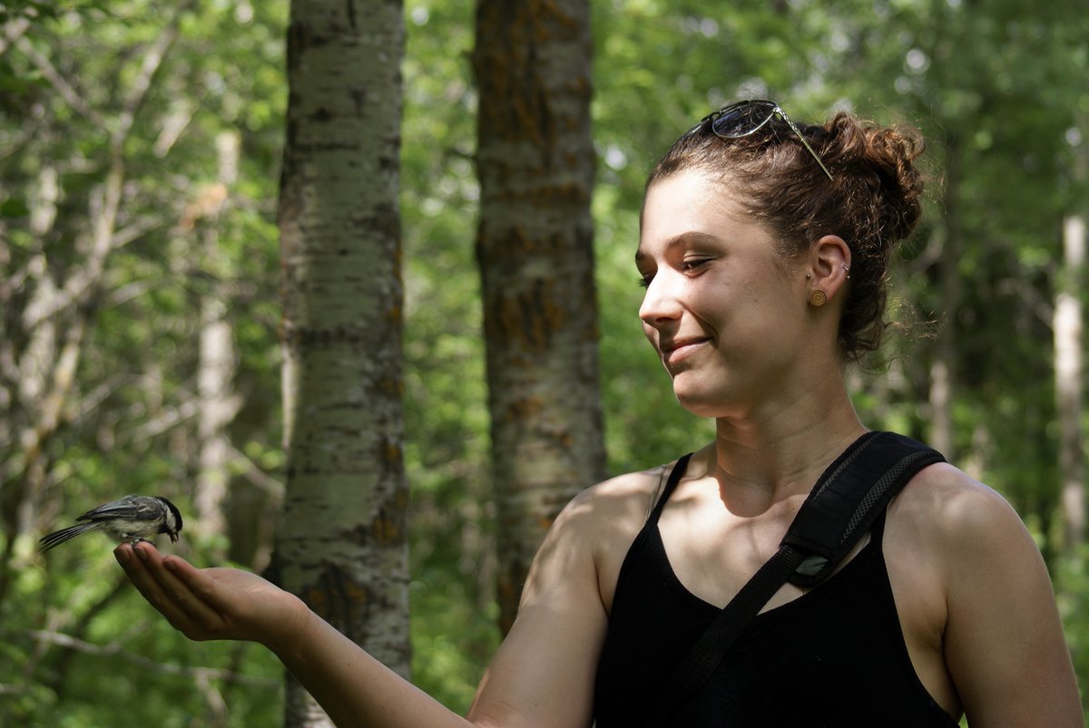 AlyssaVibert's tweet photo. I've made my return to Instagram @ vibertas! Check out my introduction/get to know me post under this same photo. Come see what I'm all about and the work I do with birds around Saskatchewan!

#birdnerd #biologist #ornithology 

📍 Pike Lake P.P., SK, Canada https://t.co/RoFIVGYEck