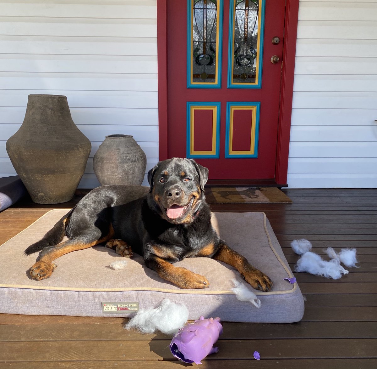 IonaRossely's tweet photo. How can you love your purple pig for 6 months and then decide to destuff him ??🤷‍♀️🤷‍♀️ https://t.co/nATcqnuGYr