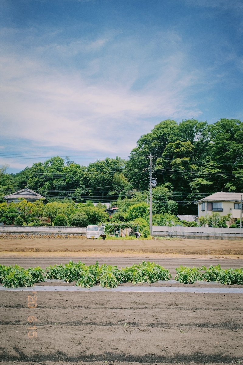 hidegraph's tweet photo. この前仕事で撮影に行った時のスナップ
#NOMO #NOMOgraphy https://t.co/0K9IL6JYJQ