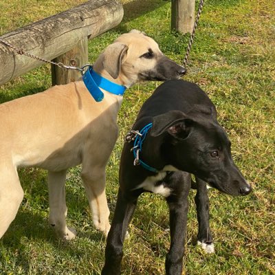 mjbrown201's tweet photo. #NewProfilePic https://t.co/uzq81H7CZ1