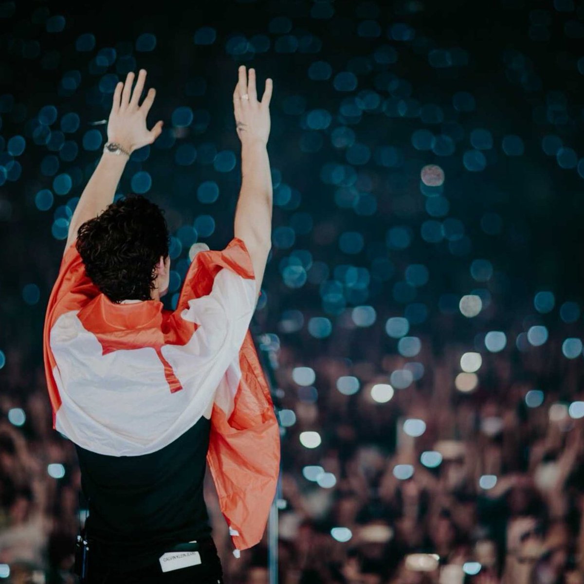 Shawn Mendes The Tour - Montreal ✦