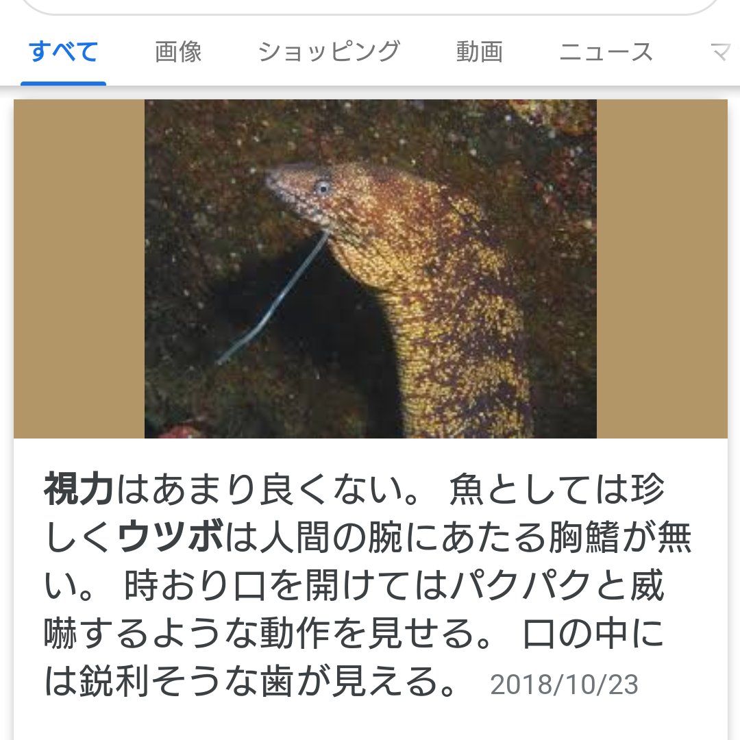 高橋 待てよ アズールタコで視力いいのになんで眼鏡してるんだろ って思ってから考えてみたんだけど アズール元々金色の目だったんじゃない 陸に上がった時に視力が悪くて ウツボは視力が悪いから 不自由なリーチ兄弟に1つずつ分けてあげたとか だから 高橋 待てよ アズールタコで視力いいのになんで眼鏡してるんだろ って思ってから考えてみたんだけど アズール元々金色の目だったんじゃない 陸に上がった時に視力が悪くて ウツボは視力が悪いから 不自由なリーチ兄弟に1つずつ分けてあげたとか だから