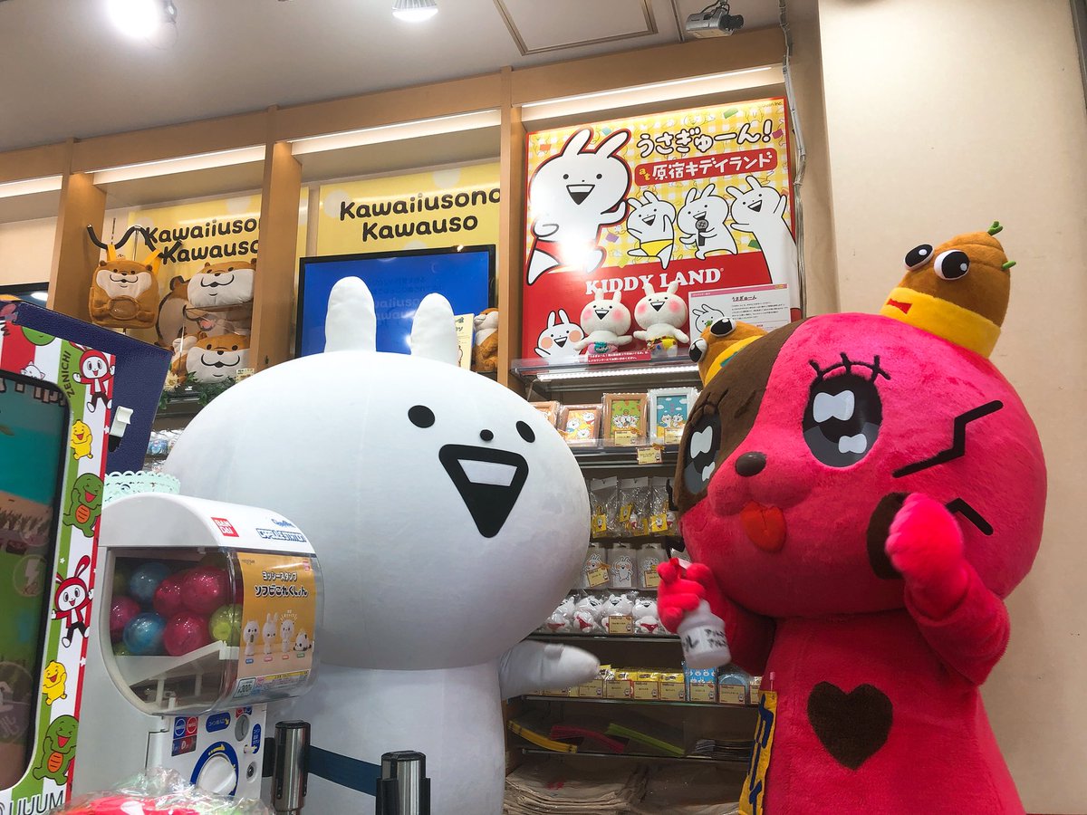 usagyuuunP's tweet image. 🥕🥕🥕🥕🥕🥕🥕🥕🥕🥕🥕🥕

うさぎゅーんポップアップショップ
　　　at キデイランド原宿店

期間 6月27日(土)〜7月10日(金)

🥕🥕🥕🥕🥕🥕🥕🥕🥕🥕🥕🥕

スタートしましたー‼︎!🎉
開店前にうさぎゅーんと、原宿のお手伝いネコカリィ(@cully_nekonote)も駆けつけてくれました‼︎!

#うさぎゅーん