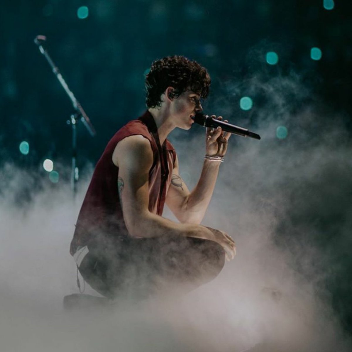 Shawn Mendes The Tour - Columbus ✦