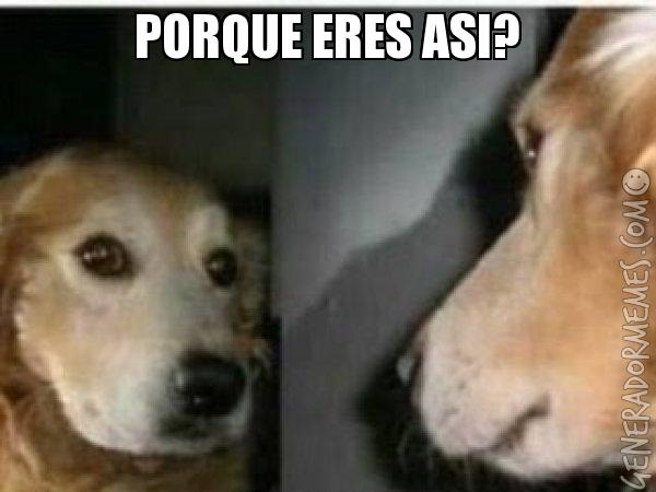 PanConChicles's tweet photo. Estoy dando un solo ramo y aun así dejo todo para ultimo minuto...porque soy así? https://t.co/o2MUkQDEte