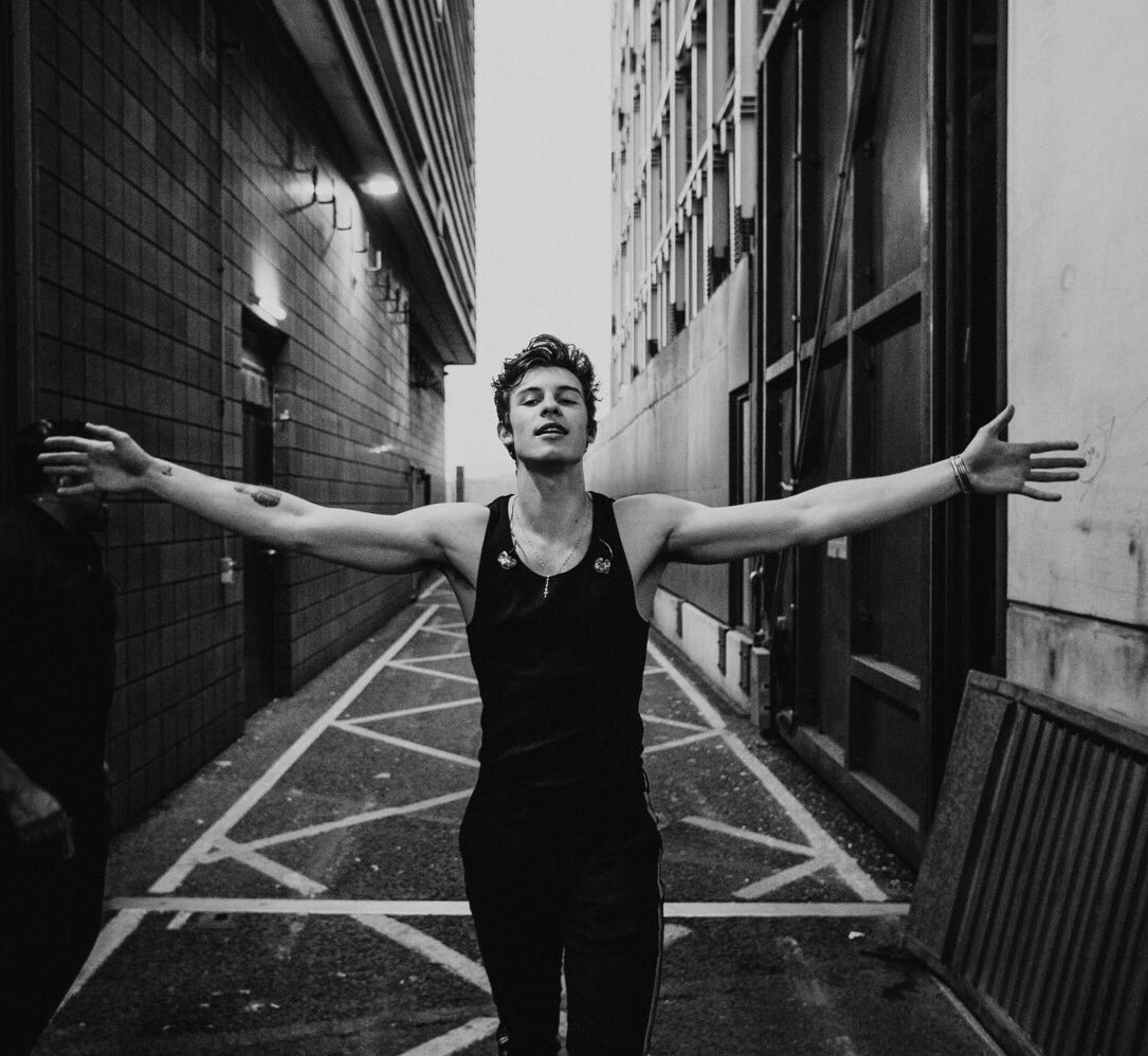 Shawn Mendes The Tour - Dublín ✦