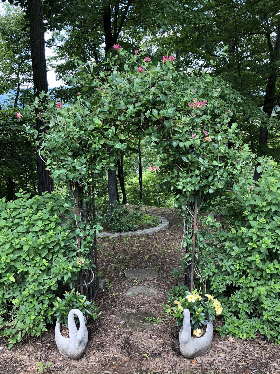_pilcher1122's tweet photo. Back home in VA🥰😎🌻🌼🌳 https://t.co/mXgj4t6k3P