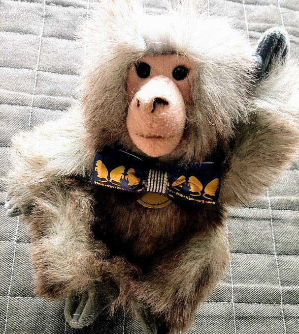 オランウータンのtwitterイラスト検索結果