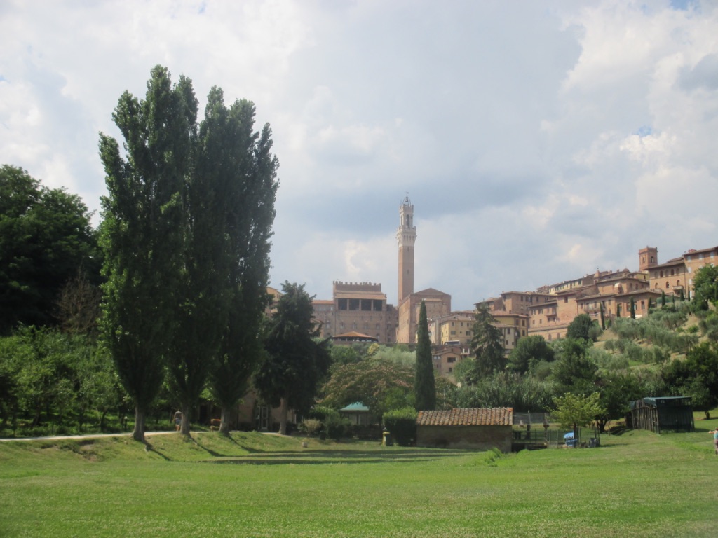 Orto de Pecci, Siena:A nice place to sit and read. In a sort of cool location at the bottom of a bowl beneath the town, so the view up is good (as shown). But the park itself isn't interesting - flat and featureless.