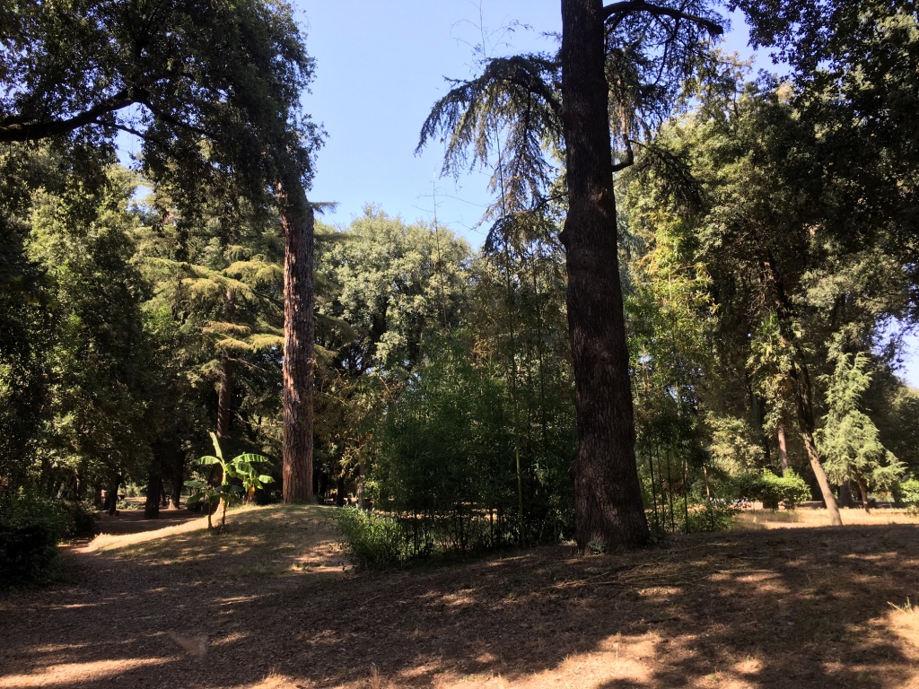 Villa Borghese, Rome:Home to a famous art gallery, but the park again is rather sparse and also a little dusty. Nice shade, but sort of boring. Does have a lake.