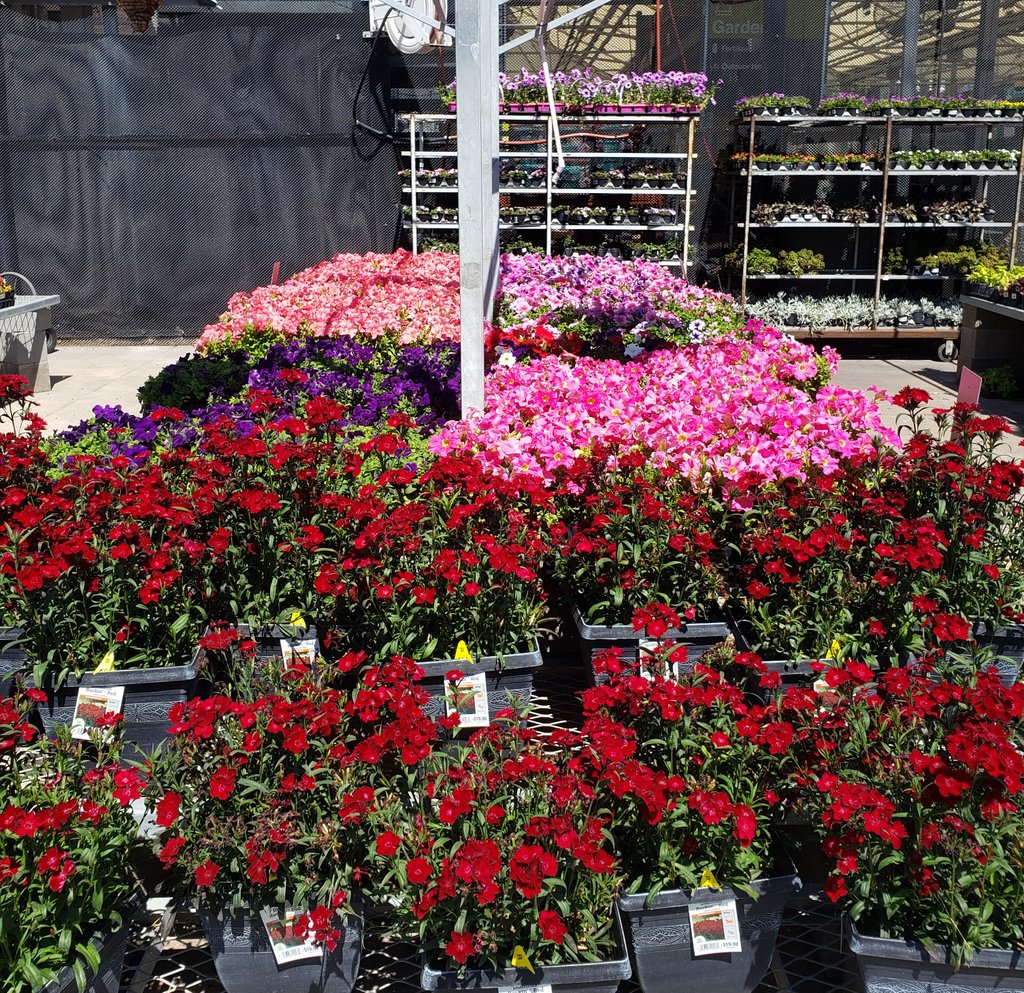 Josh Portiss tweet media