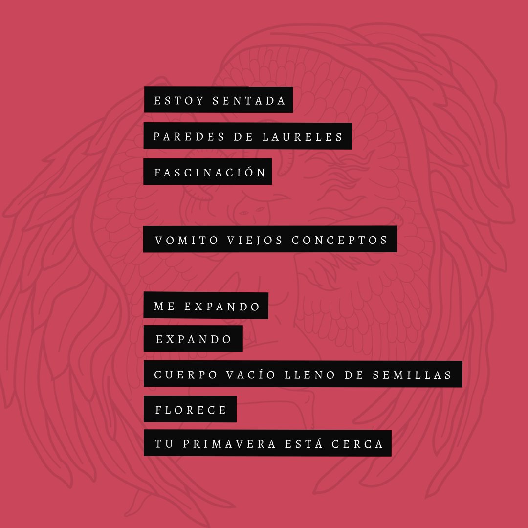 VueloQ's tweet photo. Crisálida, de @MikiCorfiel, es otro de los libros que se encuentran en edición y que pronto podrán encontrar en nuestra tienda online ✨

Colección Vuelos Líricos

Seguinos en nuestras redes 👇
Fb: quimeraeditoras
Ig: vuelodequimera
quimera.editoras@gmail.com https://t.co/DMilqYXX4Y