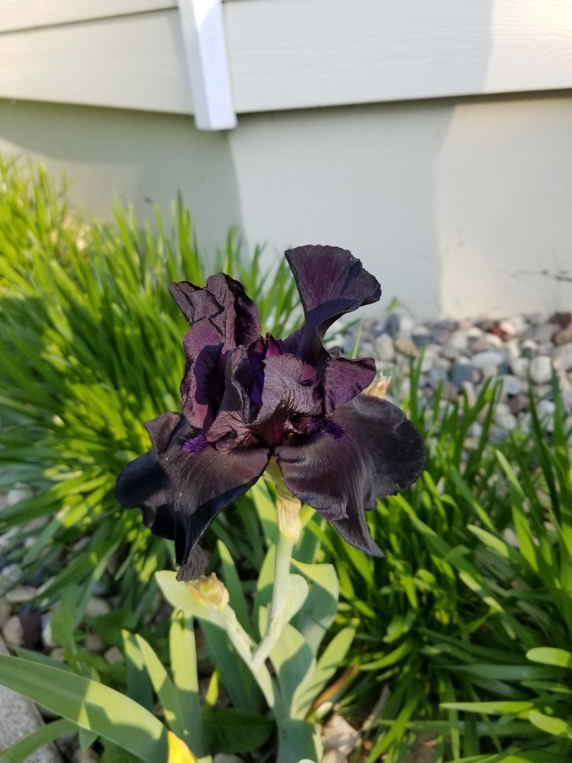 SDStateNPI tweet media