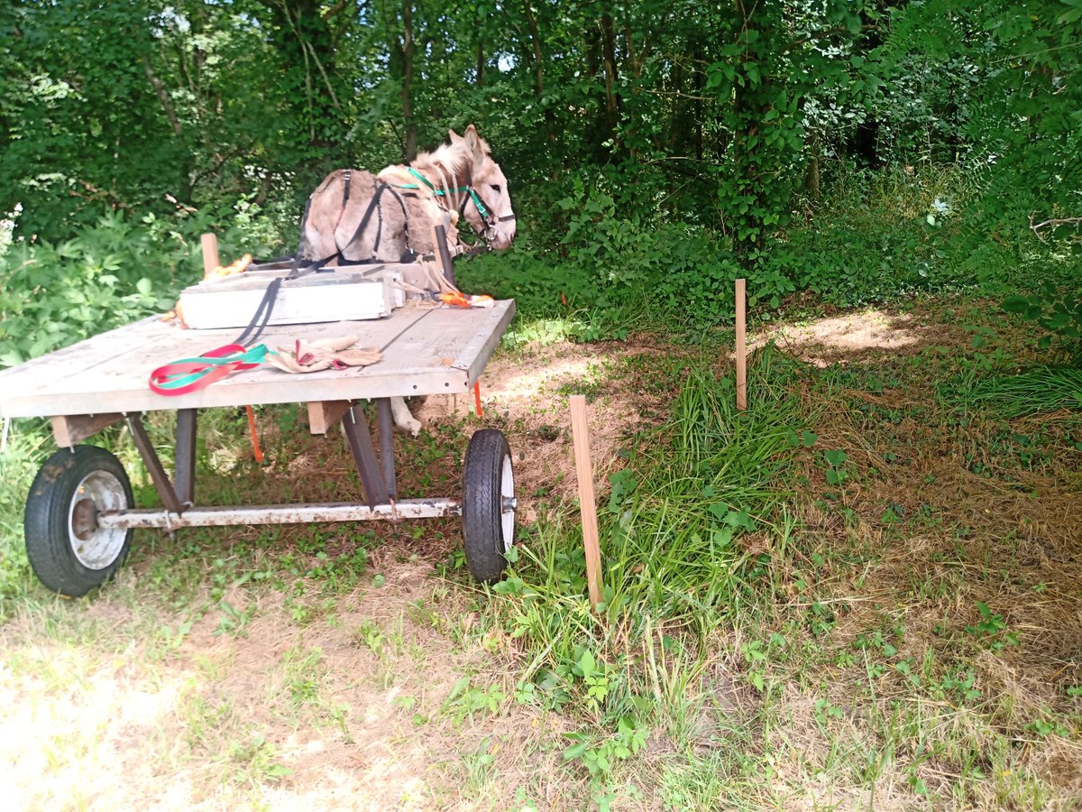 22. Ideally you want the *absolutely smallest* pressure you can possibly apply to the bit. He just - it's hard to explain. Developed power steering. Here you can see his lines, the red-and-green pile on the cart near the back. The red one goes to his right side. I made them.