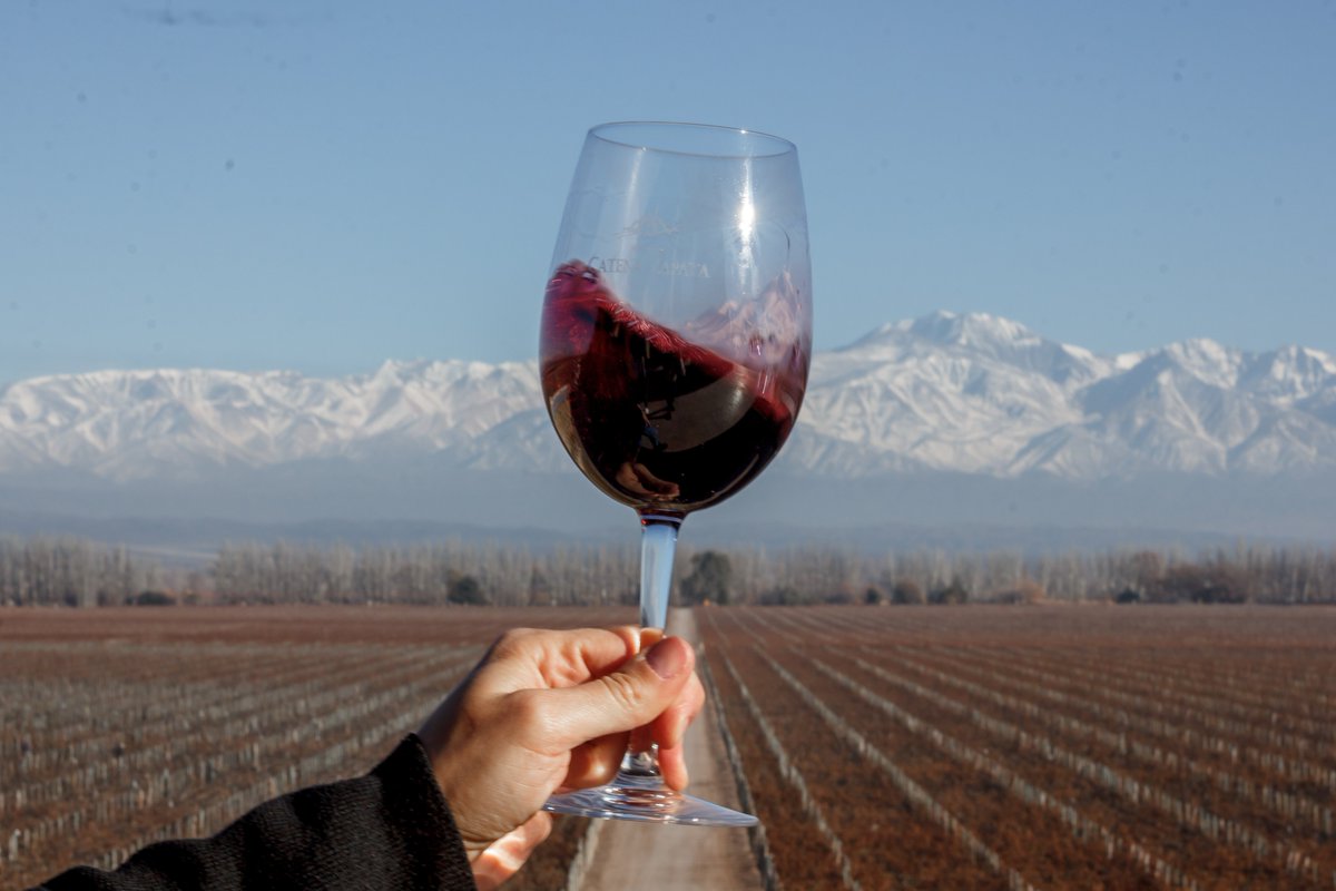 CatenaMalbec's tweet photo. ••Paciencia, esfuerzo, perseverancia y pasión. Características que se expresan en cada botella que elaboramos. Hoy levantamos la copa por cada uno de ustedes que nos eligen y por el #VinoArgentino. Salud!••🍷🍇🇦🇷#CatenaDream #MalbecPioneer #BuenViernes https://t.co/NcmKv9vAHr