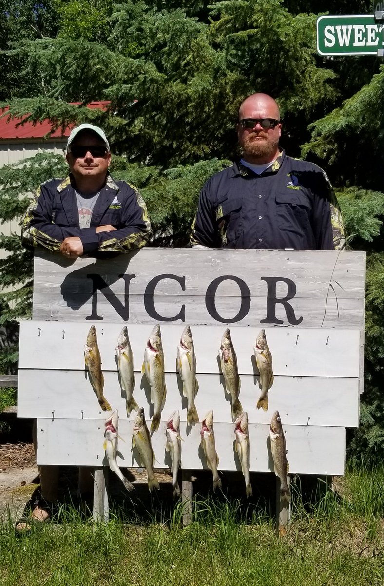 CurtQuesnell's tweet photo. Aaron and Troy came fishing Lake of the Woods with me today. Another nice mess of keepers and slots up to 28 inches. A great fun day on the lake.
#NCORGuideService
#LakeoftheWoodsWalleyes https://t.co/R3nnsSvykp