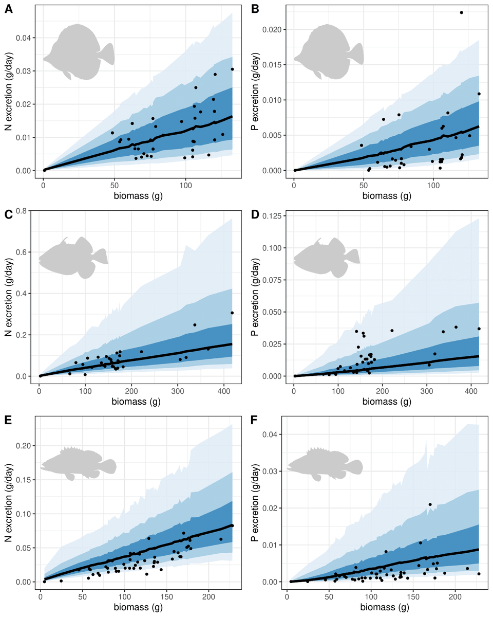 NinaSchiett's tweet photo. Thrilled to announce my first #phd is paper out in @FunEcology! 
We describe a new model to predict fluxes of carbon, nitrogen, and phosphorus in fishes. 
https://t.co/Uv4wWMKqZ4
Bonus: check out the accompanying R package #fishflux: https://t.co/rd7zAdQBnw https://t.co/ZkRa6HqyoQ