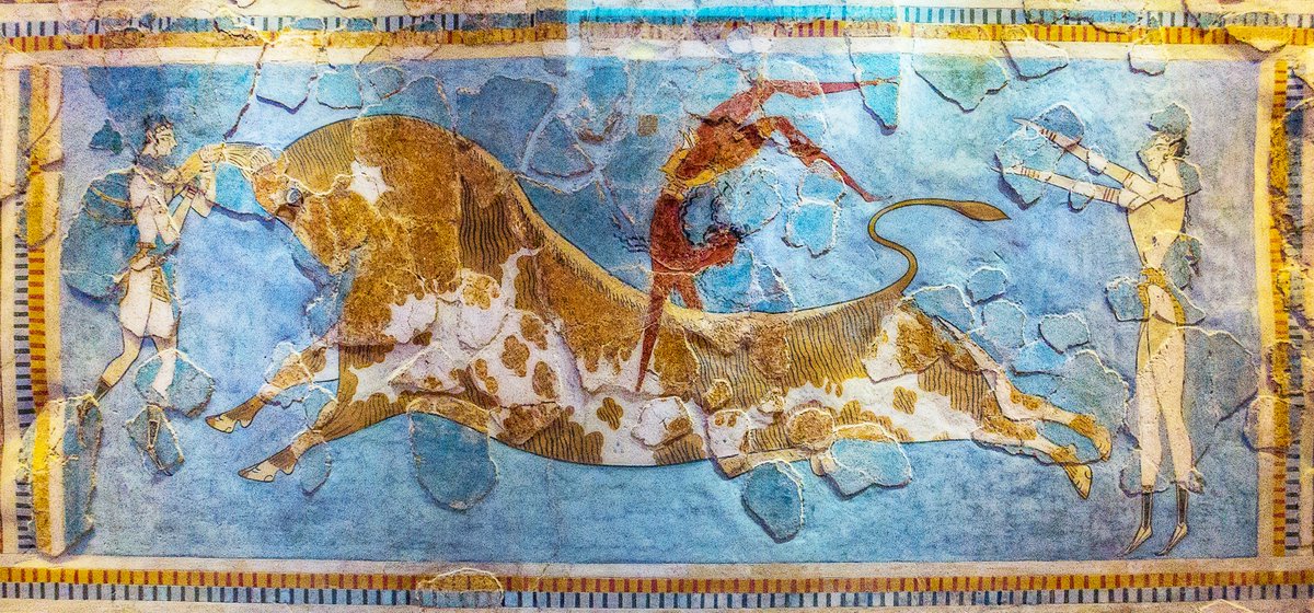 In celebration of  #MuseumsUnlocked Animals theme, here is a thread of Minoan bulls (and cows).I'll start with the obvious: the iconic bull-leaping fresco from the Palace at Knossos, 1600-1400 BC. In the Heraklion Archaeological Museum.