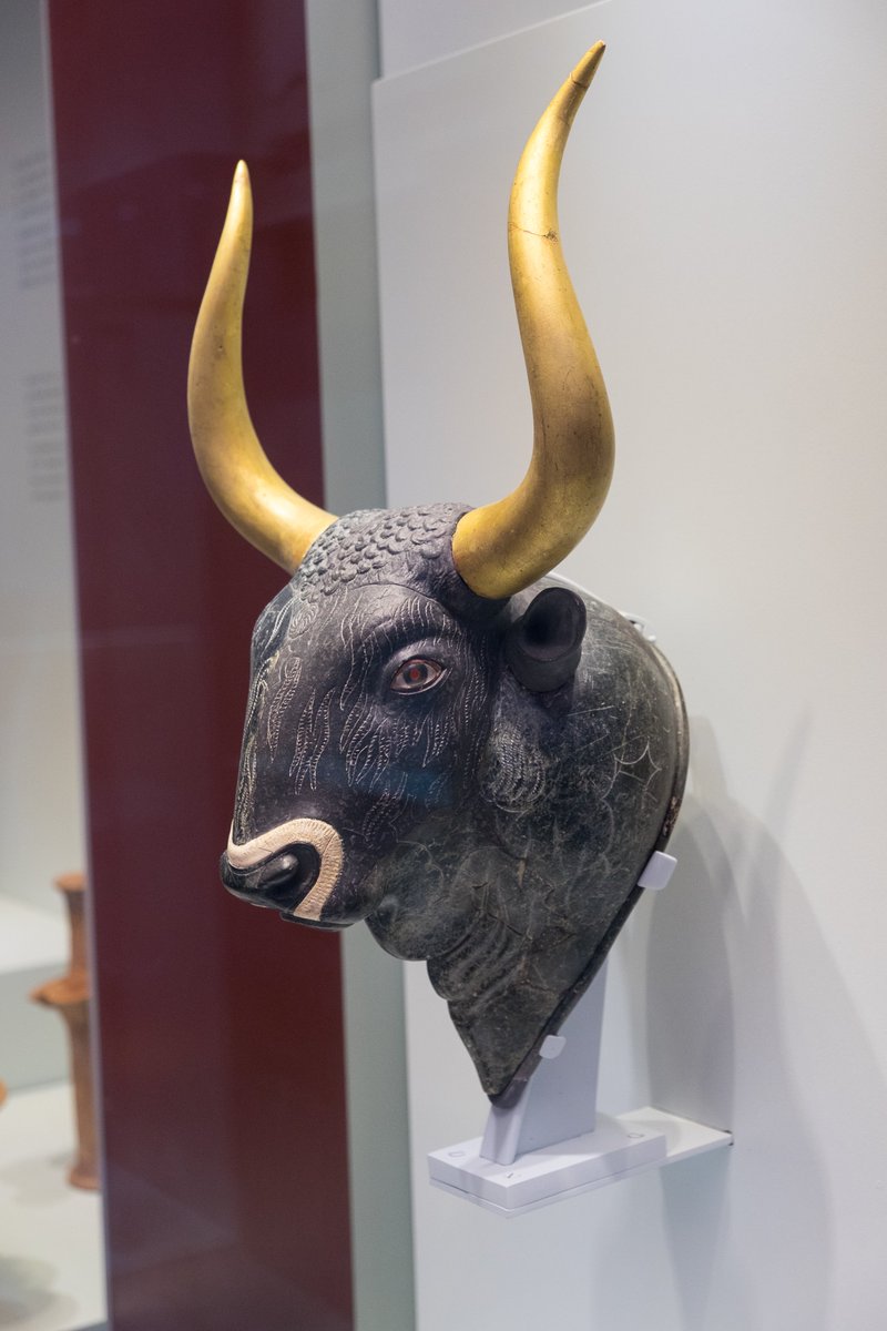 Stone rhyton in the form of a bull's head (restored on the left side). From the Little Palace at Knossos, 1600-1450 BC, in the Heraklion Archaeological Museum. #MuseumsUnlocked