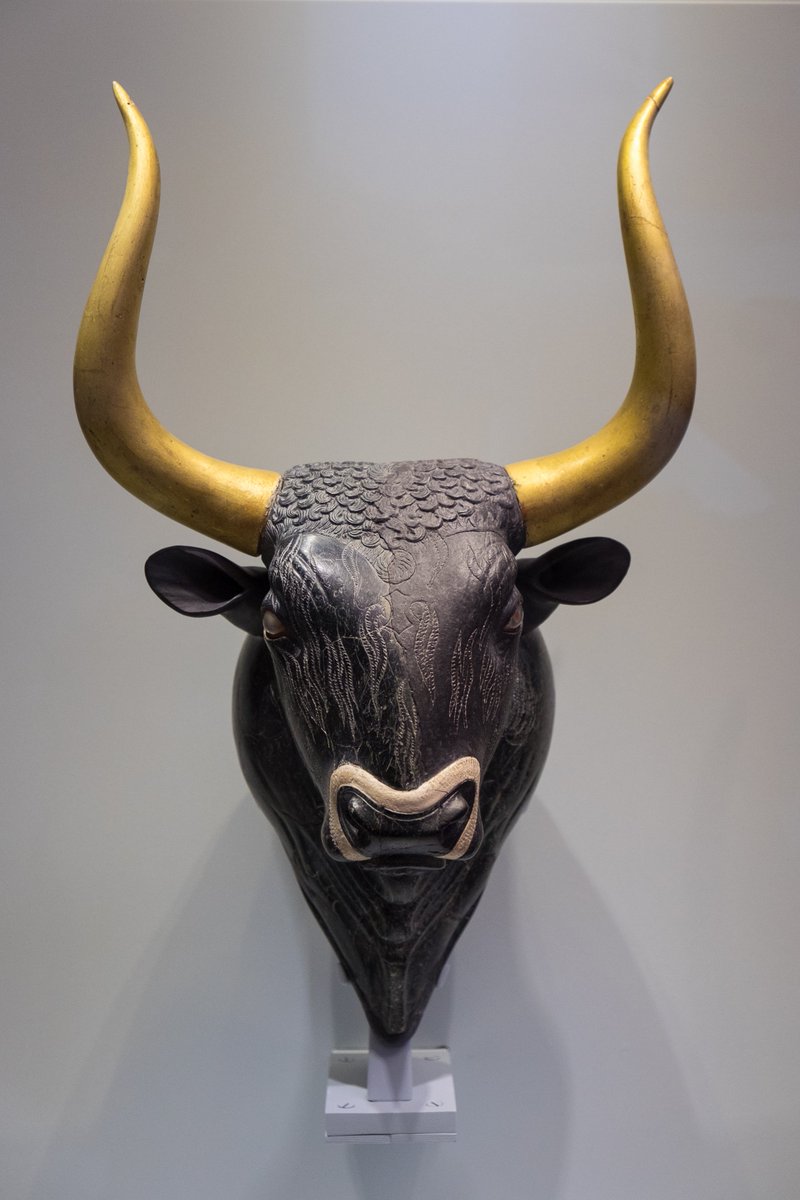 Stone rhyton in the form of a bull's head (restored on the left side). From the Little Palace at Knossos, 1600-1450 BC, in the Heraklion Archaeological Museum. #MuseumsUnlocked