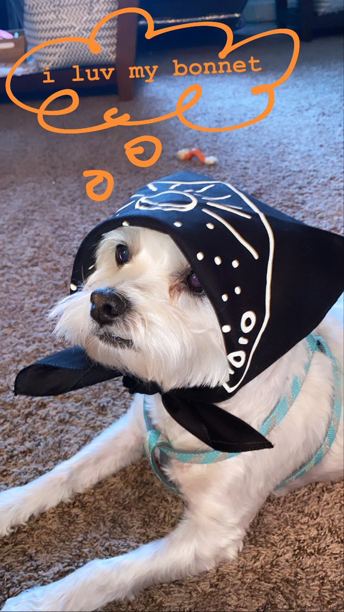 katiedrinan's tweet photo. little snickers on the prairie thinkin about his @motelradiomusic bandana bonnet and how pretty he look https://t.co/xASqnALPfI