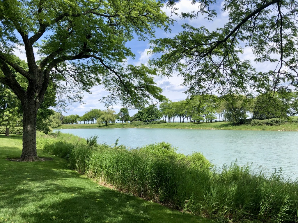 The Lakefill, Evanston:A cool park, part of Northwestern University, with spectacular views downtown. Very green - the lakefill itself has a great aqua colour too!